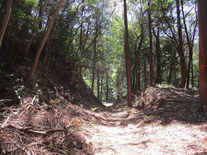 File:Ganryakujijou (11).jpg