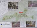 HidaKojima (9).JPG