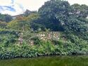 Himejimiddlemoat43.jpg