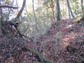 Thumbnail for version as of 04:00, 27 November 2020