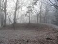 Thumbnail for version as of 20:43, 22 January 2022
