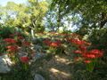 Thumbnail for version as of 22:48, 2 June 2024