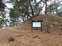 Sanada5.jpg
