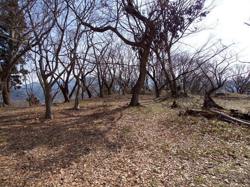 File:Sawayama21.jpg