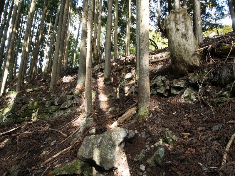 File:Shuzan50.jpg