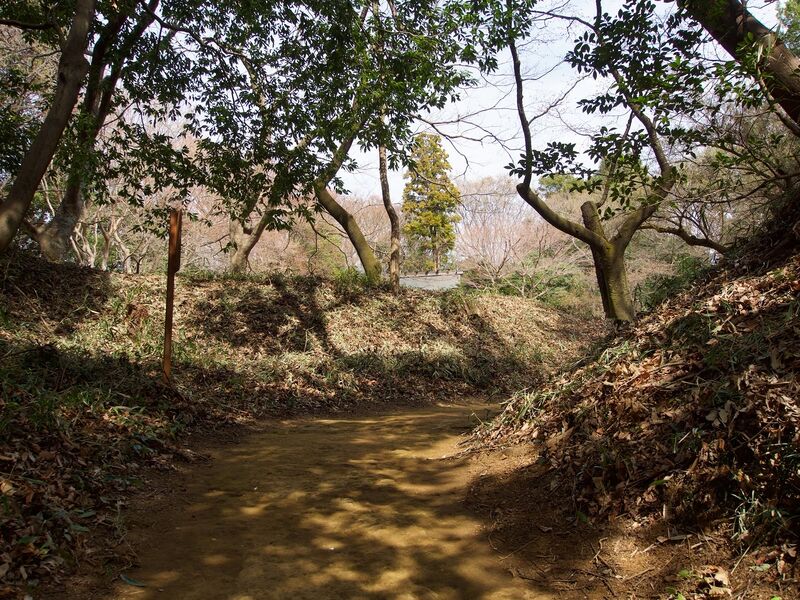 File:Takiyama52.jpg