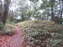 Hatsuzawajou (9).JPG