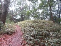 Hatsuzawajou (9).JPG