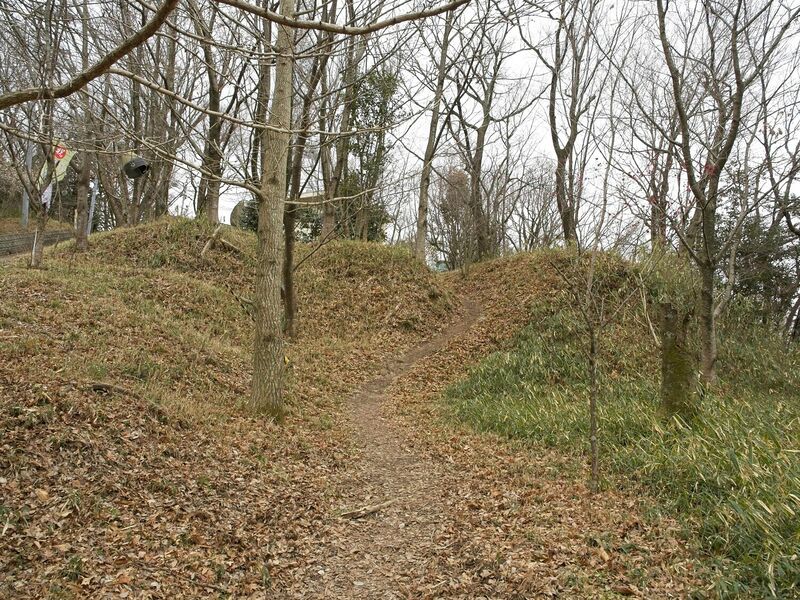 File:Iimori11.jpg