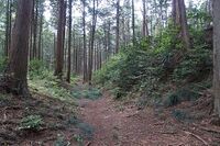 Katsunuma12.jpg