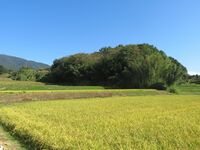 KitaKumai (18).JPG