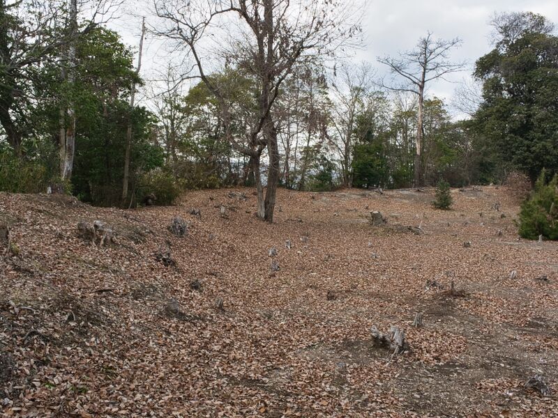 File:Kizukyoto20.jpg