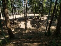 Kokashimoyama6.jpg