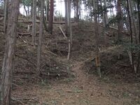Kosugejou (5).JPG