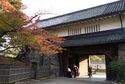 Matsumoto18.jpg