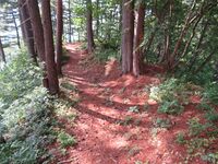 Takaharasuwa (12).JPG