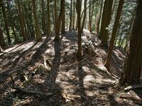 Tsuchiyamakoka31.jpg