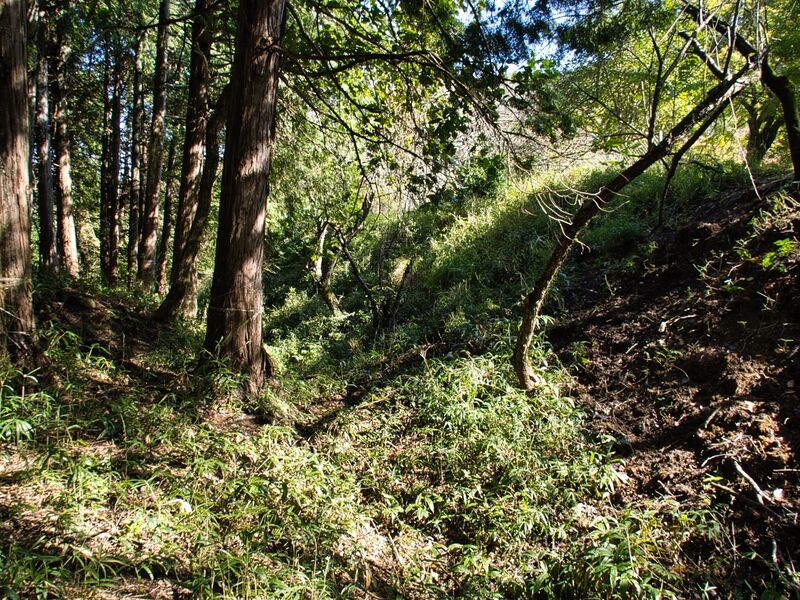 File:Yamagajinya19.jpg