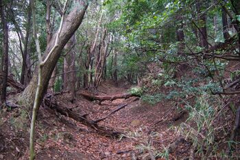 Izu quarries hikimichi.jpg