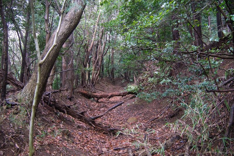 File:Izu quarries hikimichi.jpg