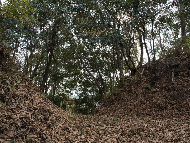 File:Kaseyamakyoto62.jpg