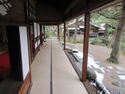 Shimizuen8.jpg
