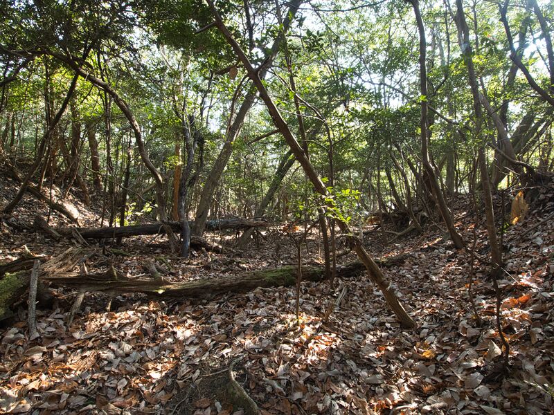 File:Shogunyama22.jpg