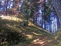 Thumbnail for version as of 13:33, 24 June 2017
