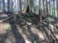 Thumbnail for version as of 15:17, 13 February 2025