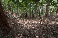 Hanazonomitake16.jpg