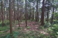 Katsunuma8.jpg