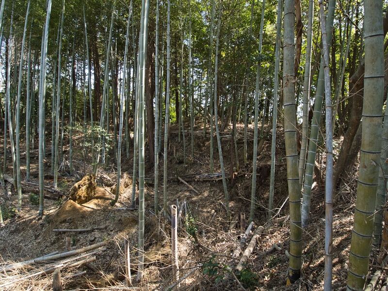 File:Kokashimoyama13.jpg