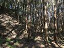 Kokashingushi10.jpg