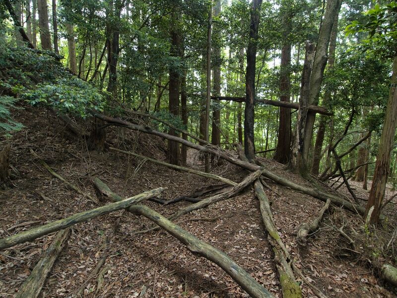 File:Nyoigatake22.jpg