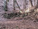 SakuShigaYakata (3).JPG