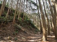 Shigisan12.jpg