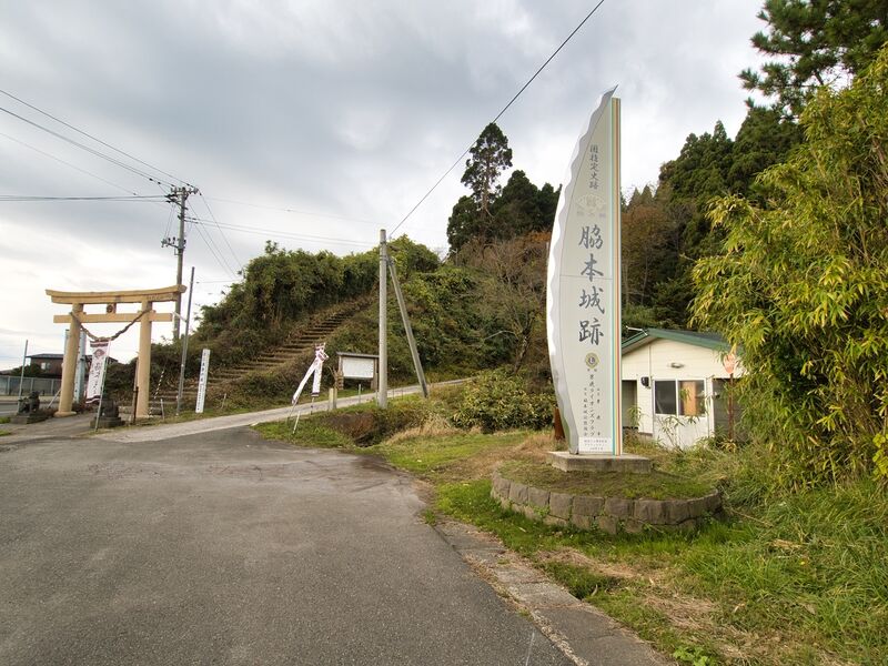 File:Wakimoto1.jpg