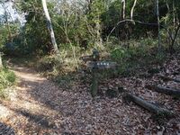Yamana7.jpg