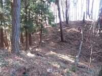 山吹小城13trench.JPG