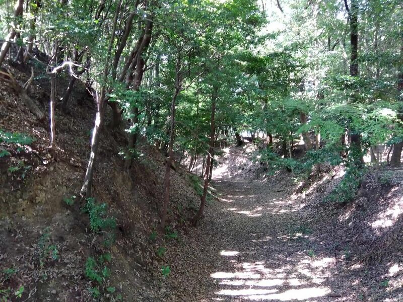 File:ARTIwasakijou01.jpg