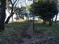 Thumbnail for version as of 08:05, 6 February 2022