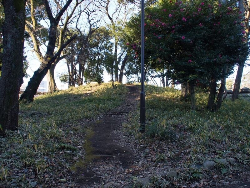 File:Asukayama5.jpg