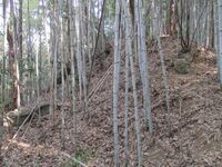 MikawaIwakurajou (2).jpg