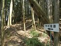 Ogawanakanokoka24.jpg