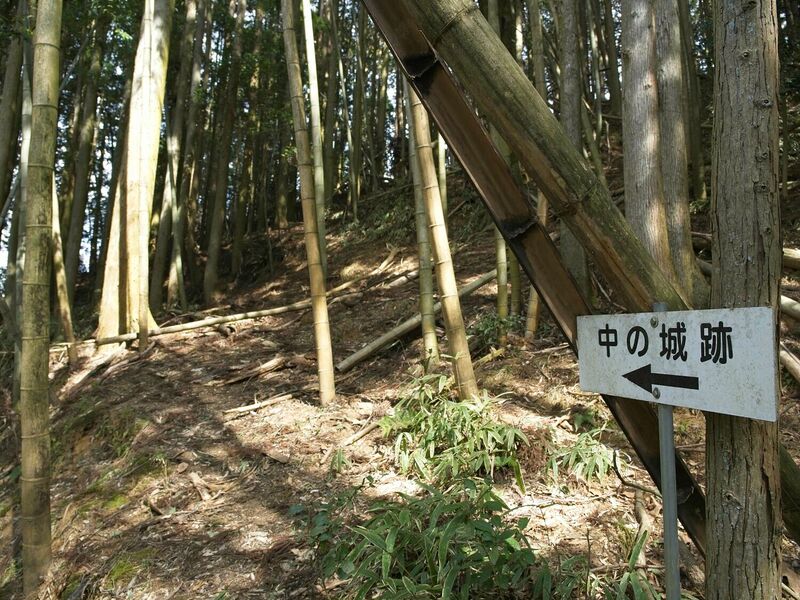 File:Ogawanakanokoka24.jpg