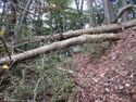 Gentairijou (12).jpg