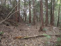Hadanashiyamajou (3).JPG