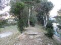 Thumbnail for version as of 13:08, 2 June 2025