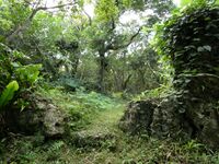Kakinohana Castle Ray 4.jpg