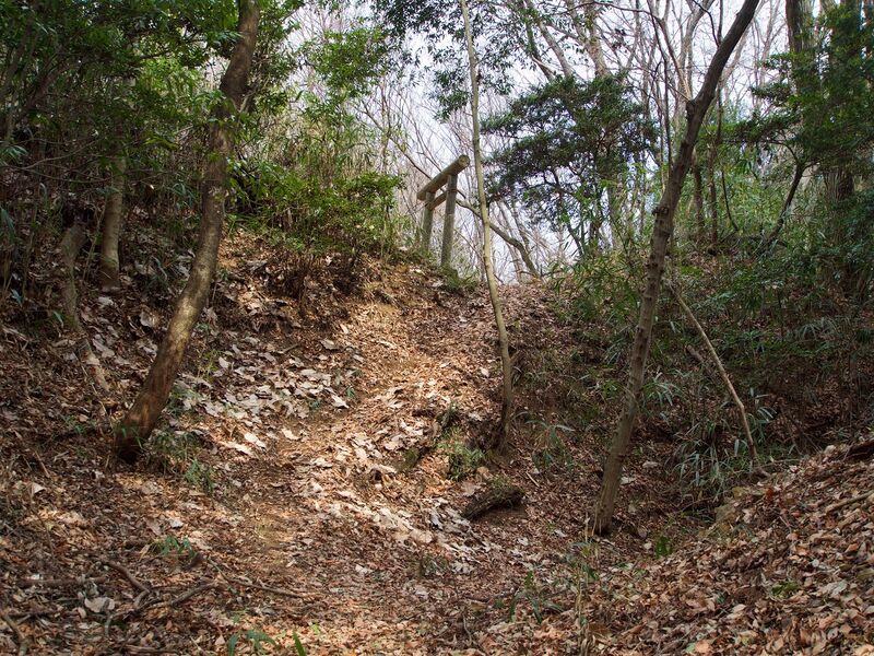 File:Nishikata30.jpg